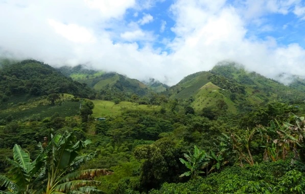 Kolumbie Tolima_ACEDGA.png